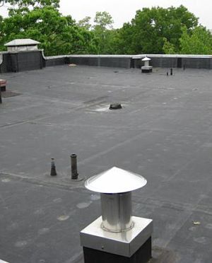 r1.jpg